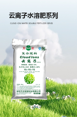 免费在线看片视频云离子免费看片APP在线肥系列