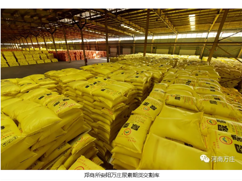 安阳免费在线看片视频助力商品国内大循环
