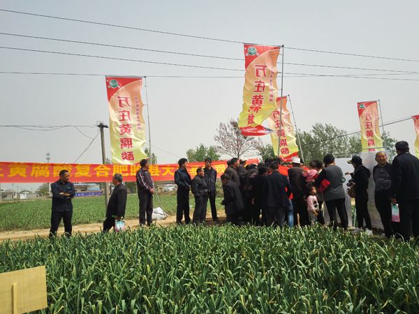 培肥养地夺高产 不妨试试黄腐酸 ——免费在线看片视频新肥科技有限公司河南睢县大蒜观摩会